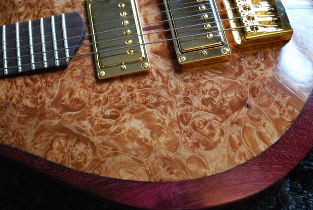 Burl top with gold humbuckers